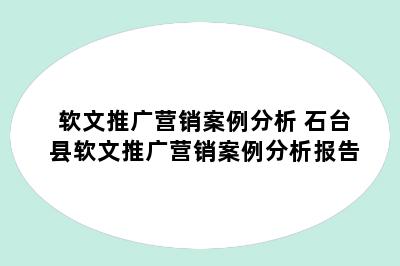 软文推广营销案例分析 石台县软文推广营销案例分析报告